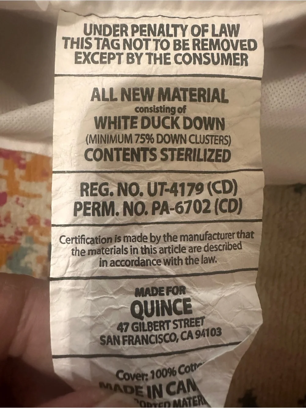 NWOT Quince Premium DUCK Down Pillow SOFT Standard Retail $110